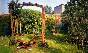 2-Plouhinec-jardin